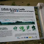 Rural Cerezos De