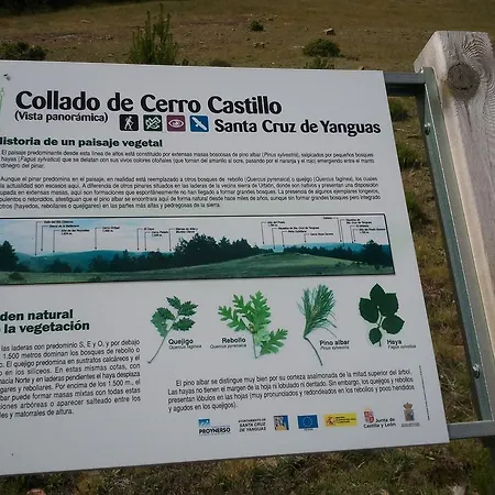 Rural Cerezos De
