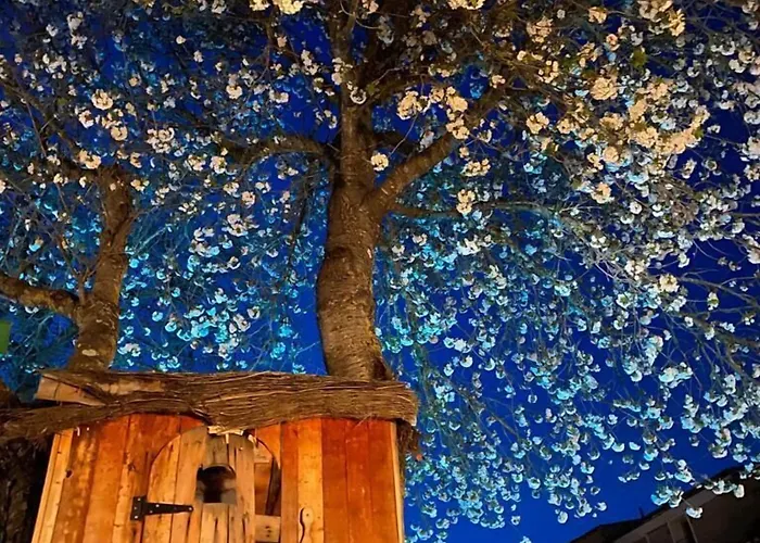 Maison d'hôtes Rural Cerezos De 3*